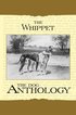 Whippet - A Dog Anthology (A Vintage Dog Books Breed Classic)