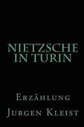 Nietzsche in Turin: Erzhlung