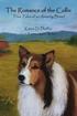 The Romance of the Collie