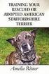 Training Your Rescued or Adopted American Staffordshire Terrier