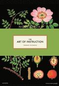 The Art of Instruction