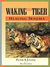 Waking the Tiger (ljudbok)