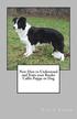 New How to Understand and Train Your Border Collie Puppy or Dog