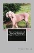 How to Understand and Train Your Weimaraner Puppy or Dog Guide Book