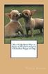 New Guide Book How to Train and Understand Your Chihuahua Puppy or Dog