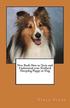 New Book How to Train and Understand Your Shetland Sheepdog Puppy or Dog