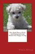New Book How to Train and Understand Your Bichon Frise Puppy or Dog