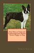 New How to Train and Understand Your Boston Terrier Puppy or Dog