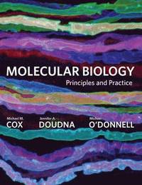 Molecular Biology Principles and Practice (ISE) (inbunden)
