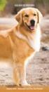 Golden Retrievers 2015 Pocket Planner