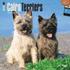 Cairn Terriers Calendar