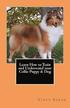 Learn How to Train and Understand Your Collie Puppy & Dog
