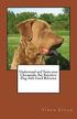 Understand and Train Your Chesapeake Bay Retriever Dog with Good Behavior