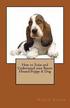 How to Train and Understand Your Basset Hound Puppy & Dog