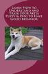 Learn How to Understand and Train Your Akita Puppy & Dog to Have Good Behavior