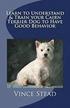 Learn to Understand & Train Your Cairn Terrier Dog to Have Good Behavior