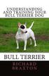 Understanding and Training Your Bull Terrier Dog