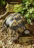 Pflege, Aufzucht Und Futterpflanzen Der Griechischen Landschildkroete in Menschlicher Obhut