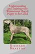 Understanding and Training Your Weimaraner Dog & Puppy to Be Good
