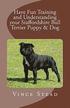Have Fun Training and Understanding Your Staffordshire Bull Terrier Puppy & Dog