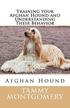 Training Your Afghan Hound and Understanding Their Behavior