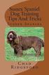 Sussex Spaniel Dog Training Tips and Tricks