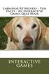 Labrador Retrievers - Fun Facts - An Interactive Games Quiz Book