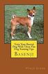 Train Your Basenji Dog with These Fun Dog Training Tips