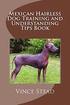 Mexican Hairless Dog Training and Understanding Tips Book