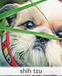 Shih Tzu: A Gift Journal for People Who Love Dogs: Shih Tzu Puppy Edition