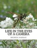 Life in the eyes of a camera: no one is perfect