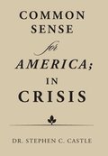 Common Sense for America; in Crisis