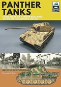 Panther Tanks: Germany Army Panzer Brigades