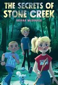 Secrets of Stone Creek