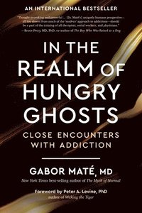 In the Realm of Hungry Ghosts: Close Encounters with Addiction (h�ftad)