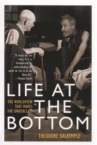Life at the Bottom (inbunden)