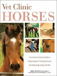 Vet Clinic for Horses (h�ftad)