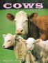 Cows