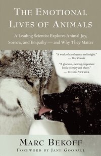 The Emotional Lives of Animals (h�ftad)