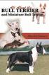 All About Bull Terriers and Miniature Bull Terriers