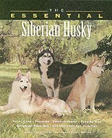 The Essential Siberian Husky (h�ftad)
