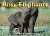 Busy Elephants (h�ftad)