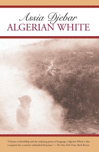 Algerian White (pocket)