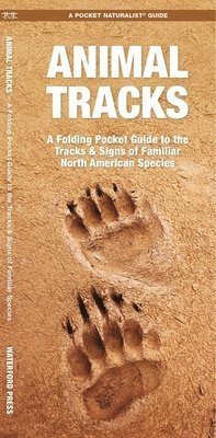 Animal Tracks (inbunden)