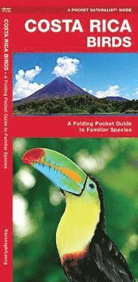 Costa Rica Birds: An Introduction to Familiar Species (inbunden)