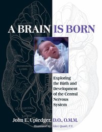 A Brain Is Born ()