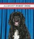 Almost First Dog: The Secret Rejected Portuguese Water Dog Applications - Never-before-seen Portugue