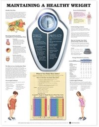 Maintaining A Healthy Weight ()