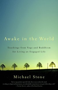 Awake in the World (h�ftad)