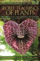 The Secret Teachings of Plants (h�ftad)